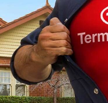 Termidor® HE – Termite Management System