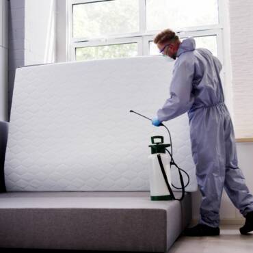 How to Get Rid of Bed Bugs in Australia | 2025 Guide