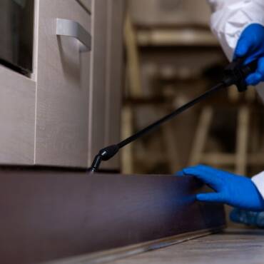What Does General Pest Control Include?