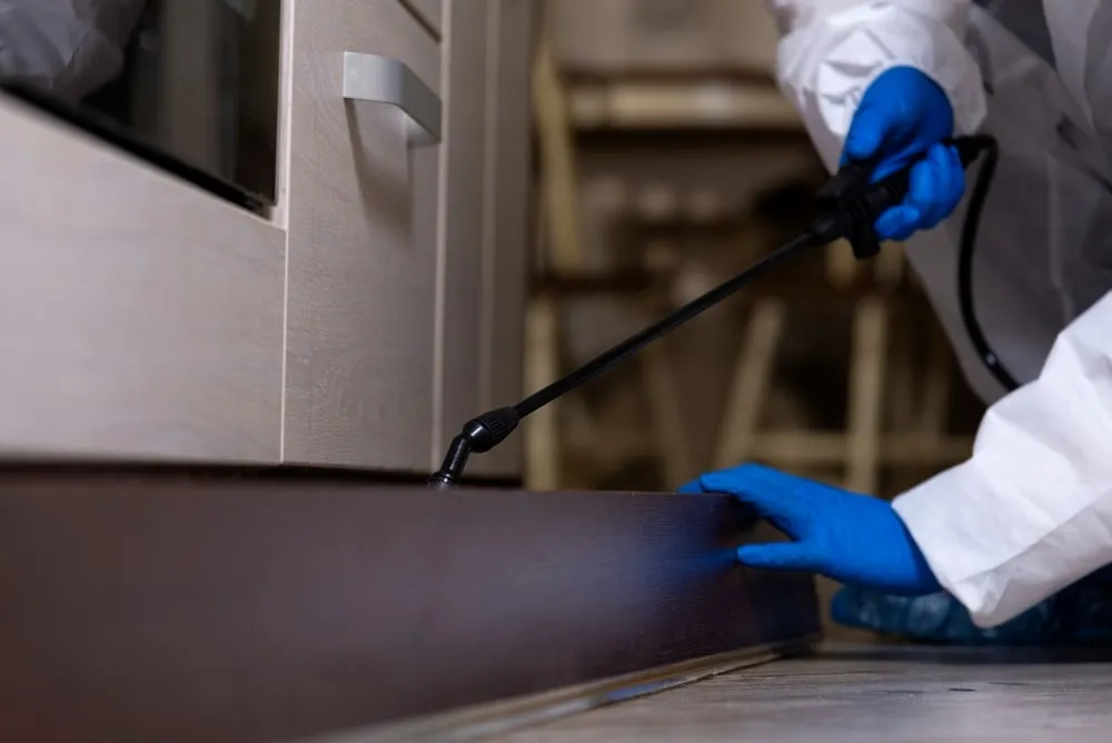 Licensed pest control technician applying general pest treatment inside a home in Regents Hill, QLD.