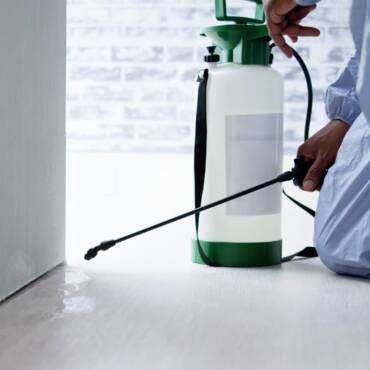 What is Integrated Pest Control?