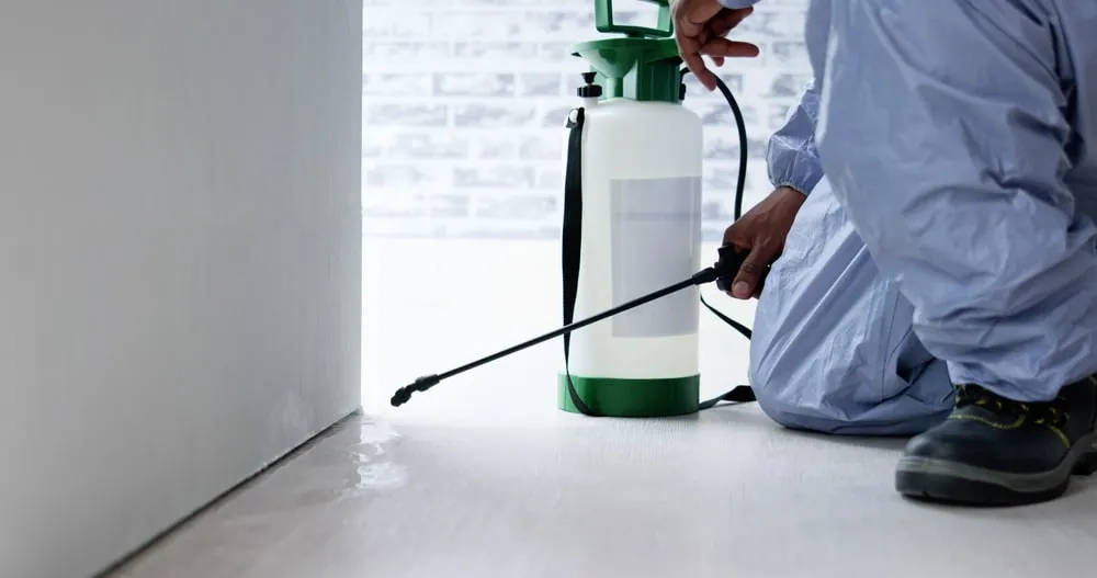 Licensed pest controller applying targeted insecticide spray as part of integrated pest control treatment.