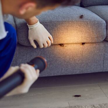Will Pest Control Get Rid of Roaches?
