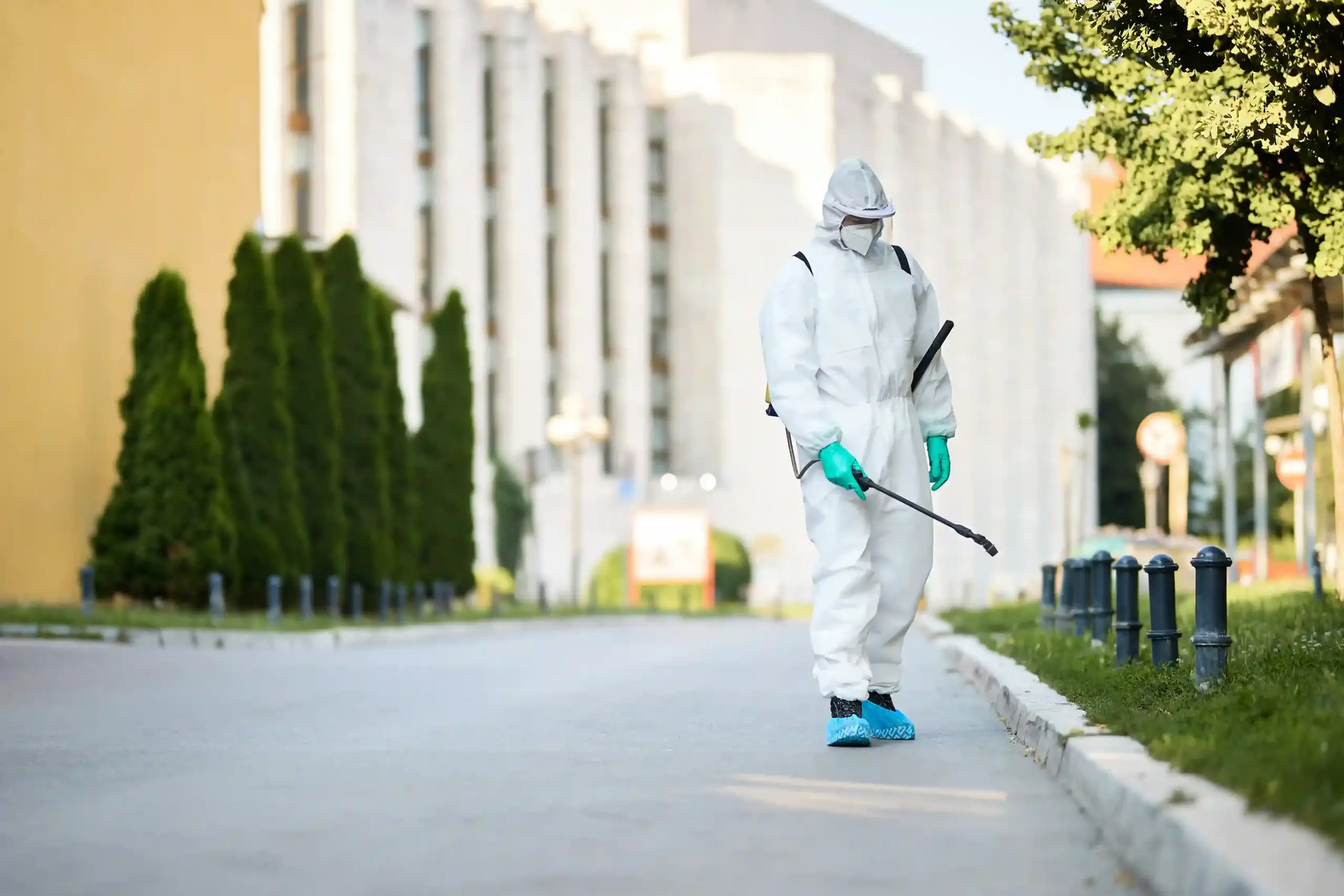 Best-Affordable-Pest-Control-service