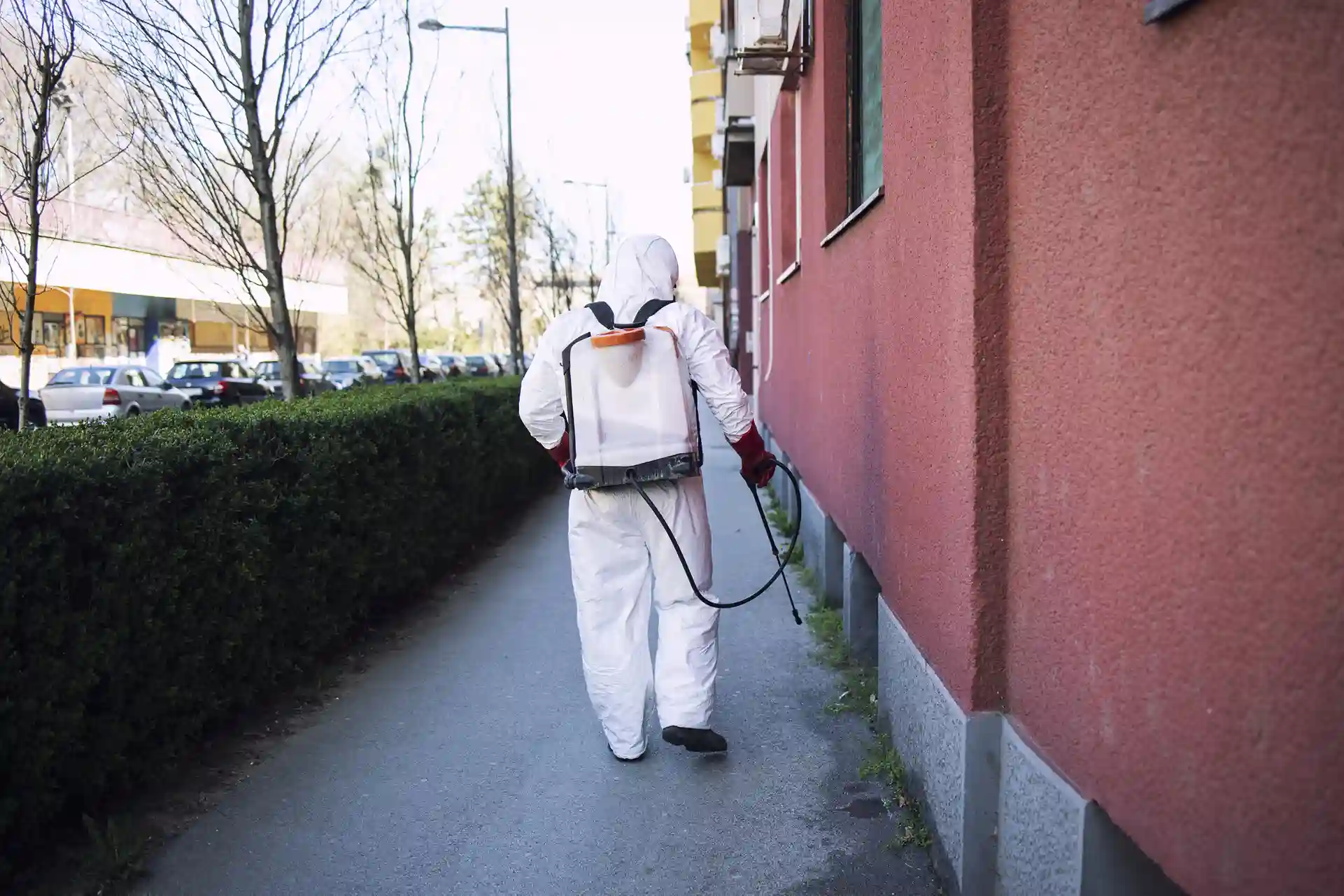 Best-Affordable-Pest-Control
