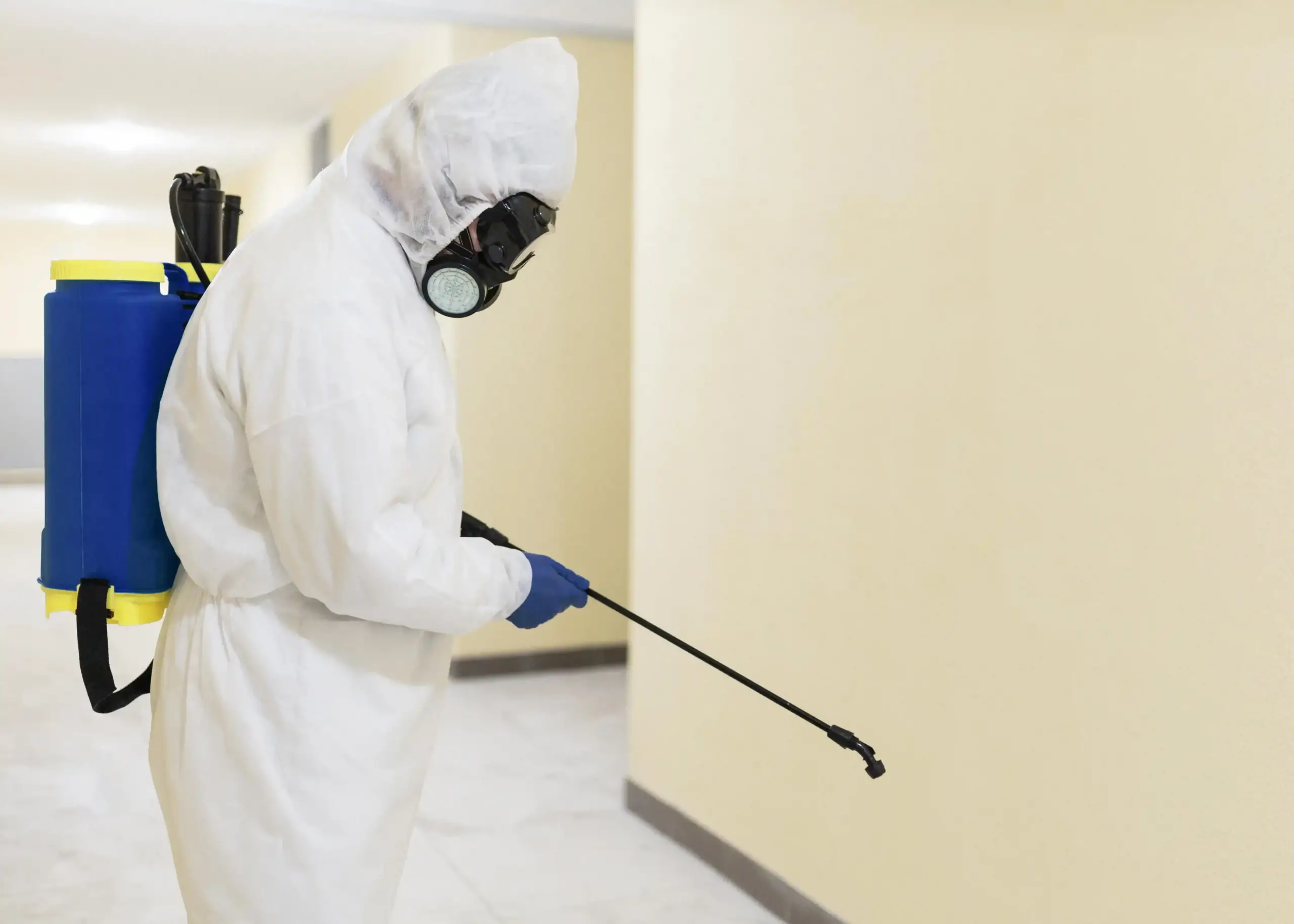 Pest Control Service