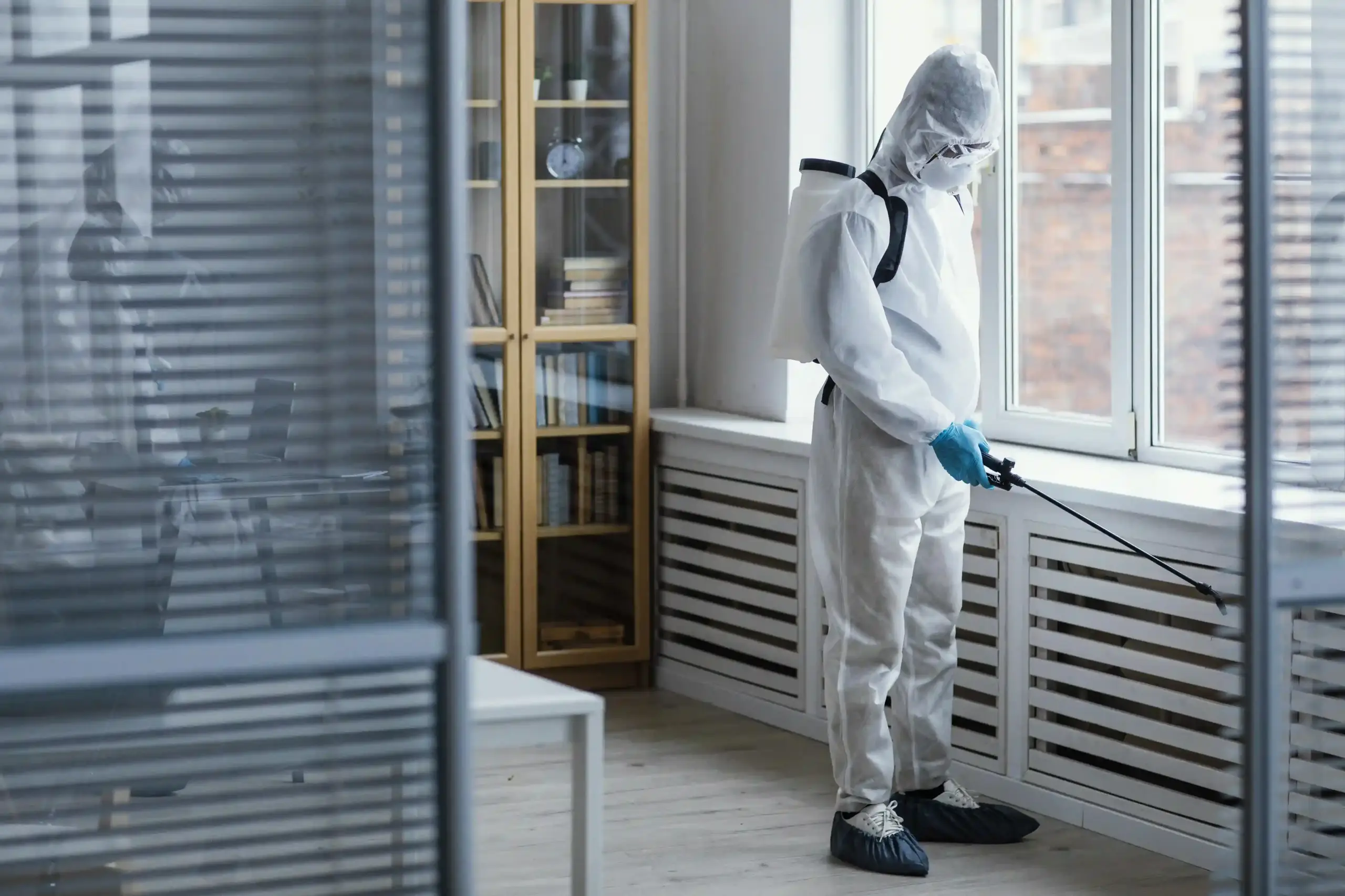 pest-control-services