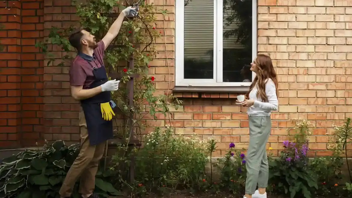 Trusted General Pest Management Services in Brisbane