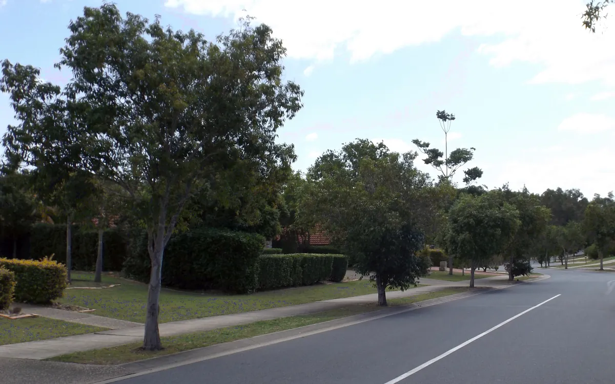 Karamea Avenue in Springfield