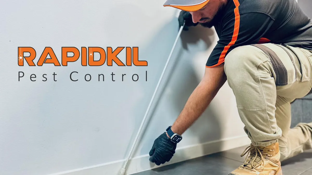 Rapidkil technician carrying out an internal pest treatment